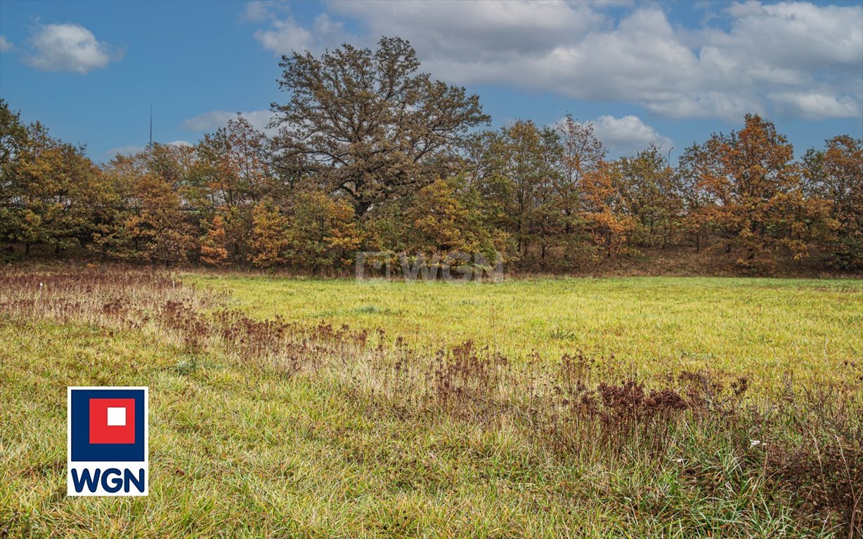 Działka budowlana na sprzedaż Dąbrowa Bolesławiecka, Dąbrowa Bolesławiecka  2 231m2 Foto 8