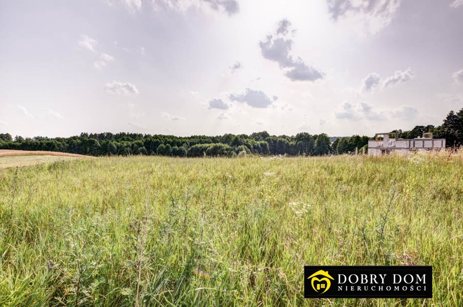 Działka rolna na sprzedaż Malinówka  9 300m2 Foto 4