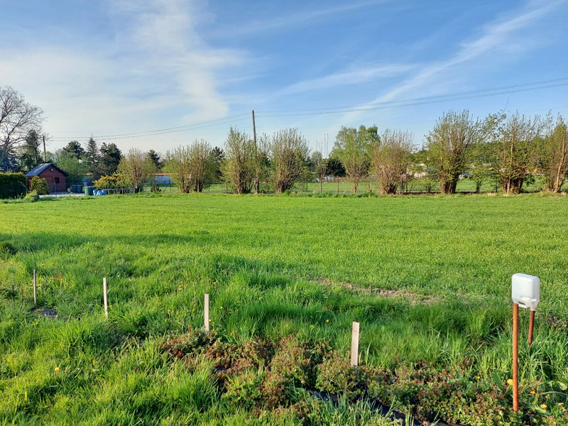 Działka budowlana na sprzedaż Marklowice Górne  1 122m2 Foto 5