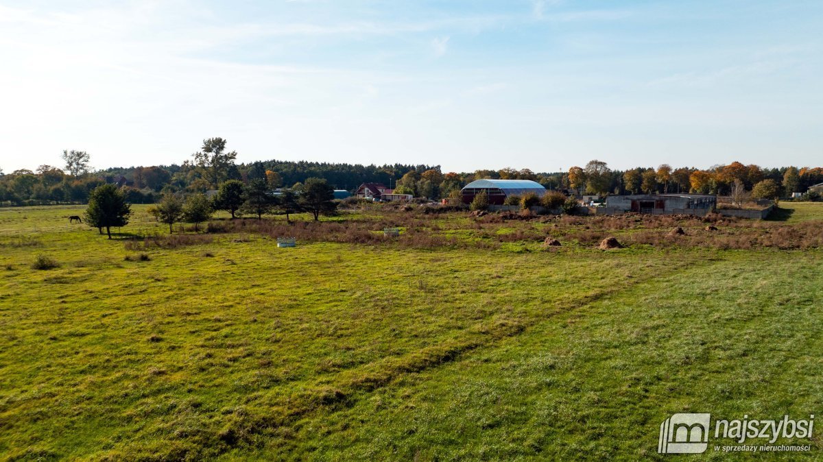 Działka rolna na sprzedaż Sarbia  6 500m2 Foto 7