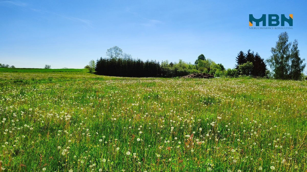 Działka rolna na sprzedaż Węgorzewo, Rudziszki  21 800m2 Foto 16