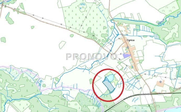 Działka rolna 5,08 ha z wodą, lasem i dojazdem Ognica  50 800m2 Foto 1