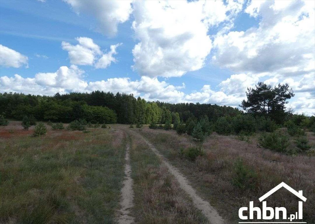 Duża działka 7 ha z lasem i łąkami – potencjał inwestycyjny Łąg-Kolonia  69 900m2 Foto 1