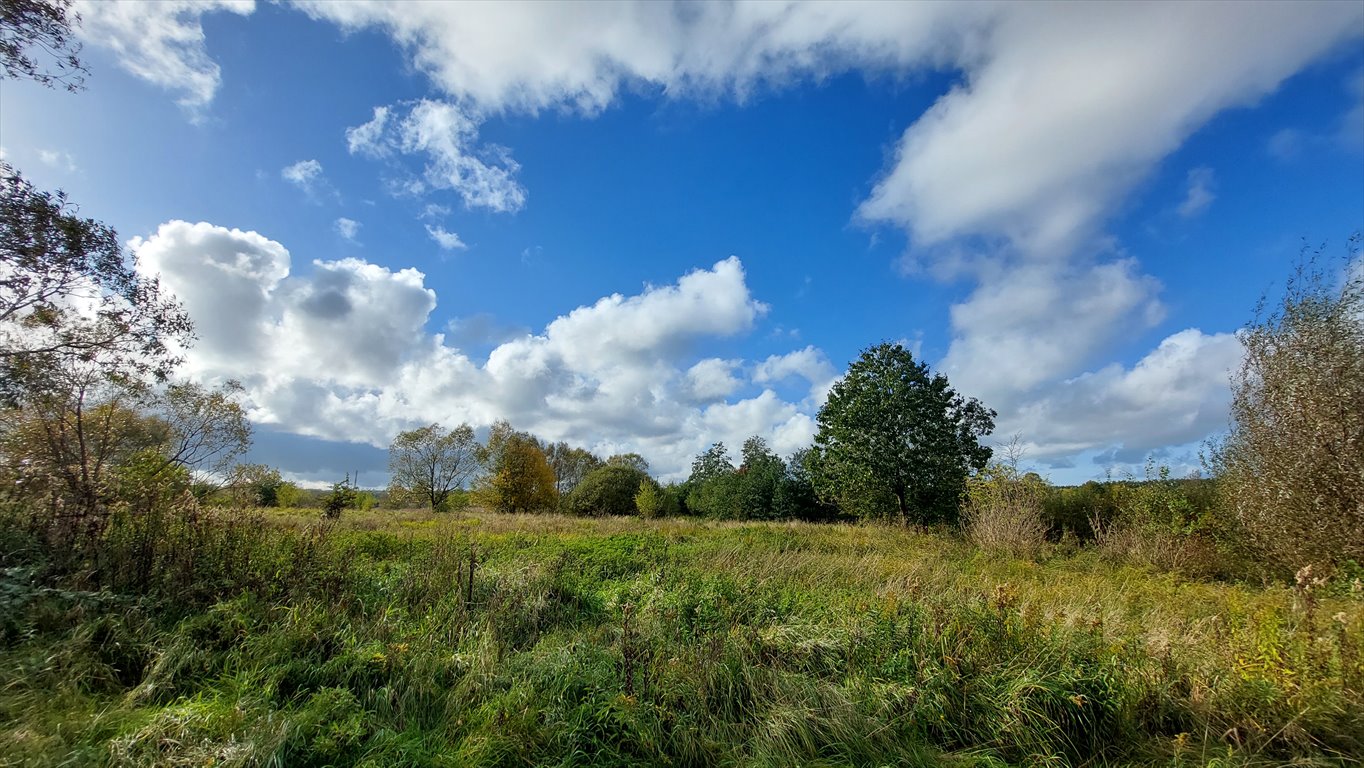 Działka komercyjna na sprzedaż Słupsk, Ryczewo, ul. Sportowa  7 554m2 Foto 2