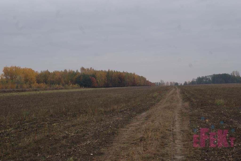 Działka budowlana na sprzedaż Zator  63 400m2 Foto 5