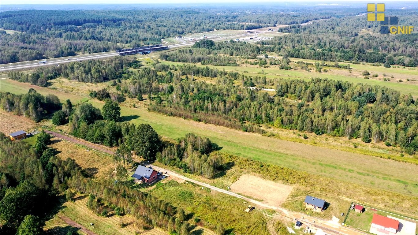 Działka budowlana na sprzedaż Łysiec  855m2 Foto 6