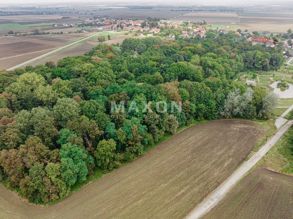 Dom na sprzedaż Małuszów  4 100m2 Foto 27