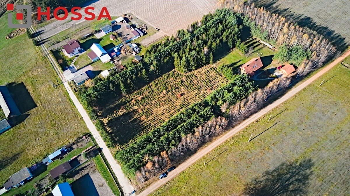 Działka rolna na sprzedaż Głęboczyca  3 960m2 Foto 5