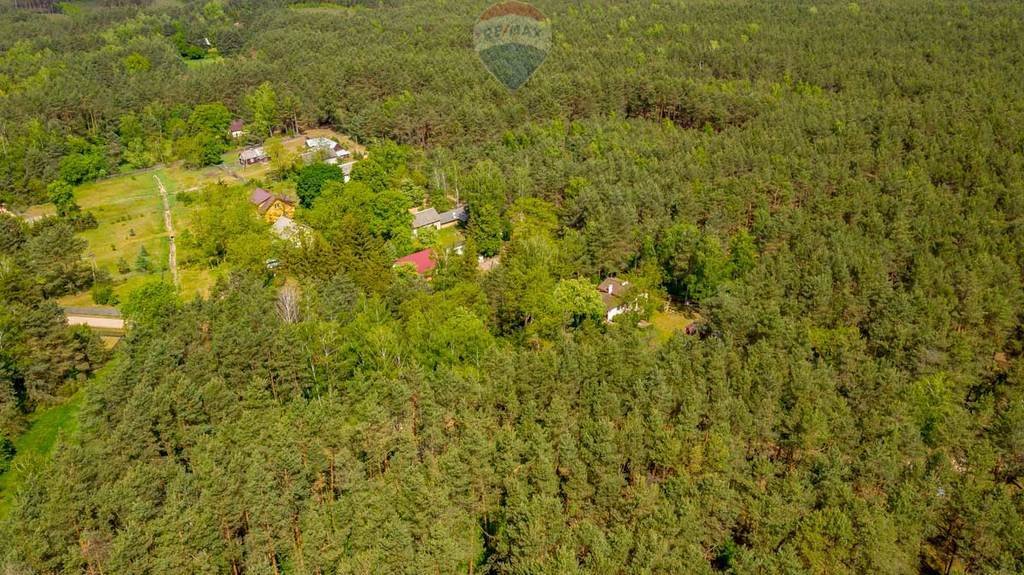 Działka leśna z prawem budowy na sprzedaż Rynia, Ignacego Paderewskiego  4 461m2 Foto 8