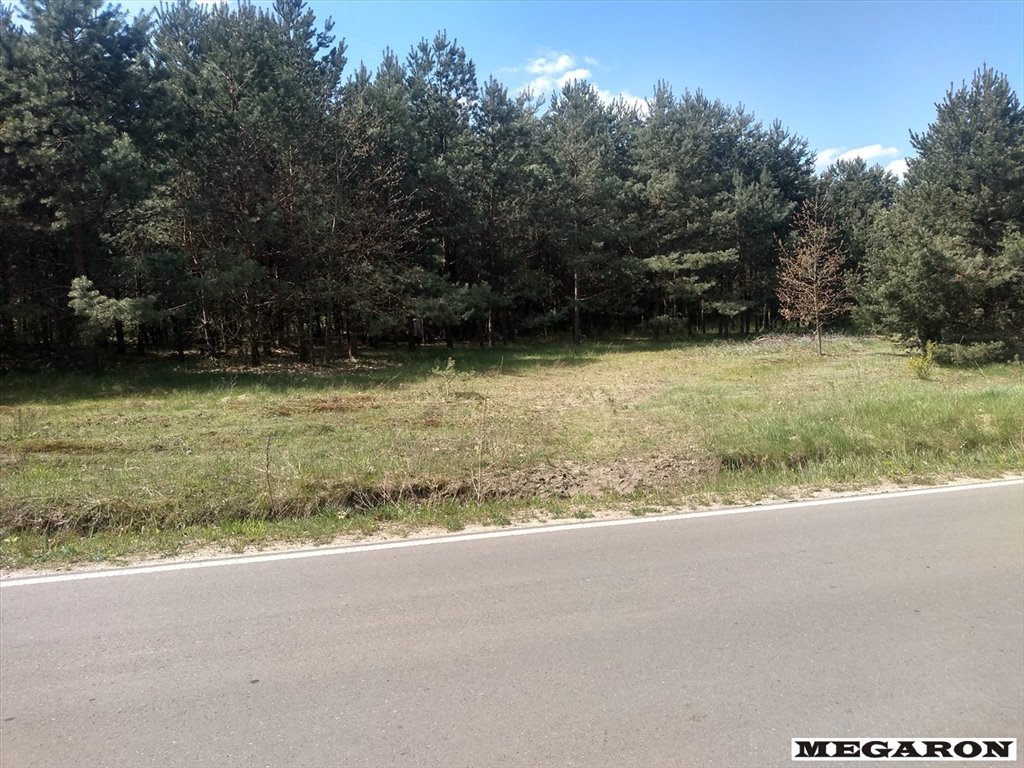 Działka inna na sprzedaż Skrajnica  9 870m2 Foto 2