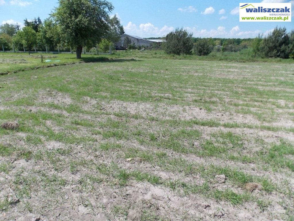 Działka budowlana na sprzedaż Koło  2 200m2 Foto 6