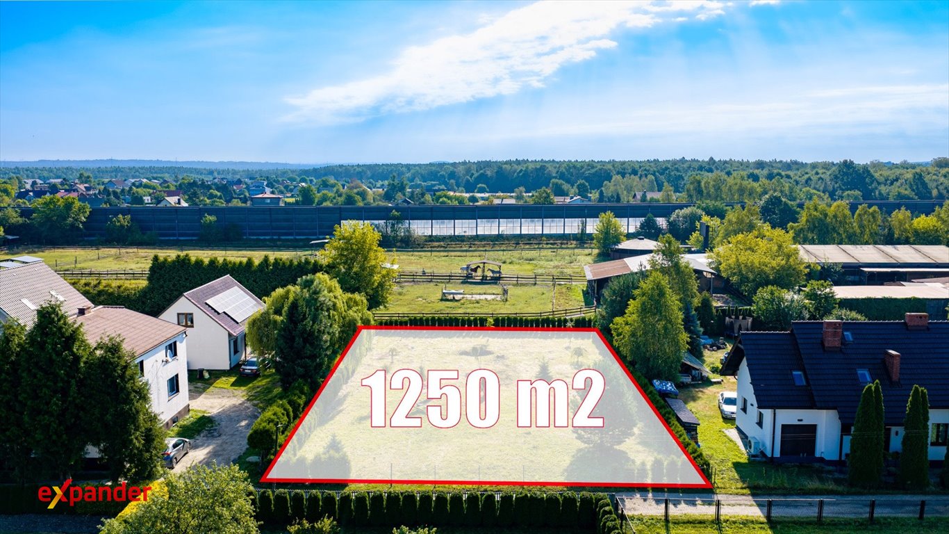 Zdjęcie 7
