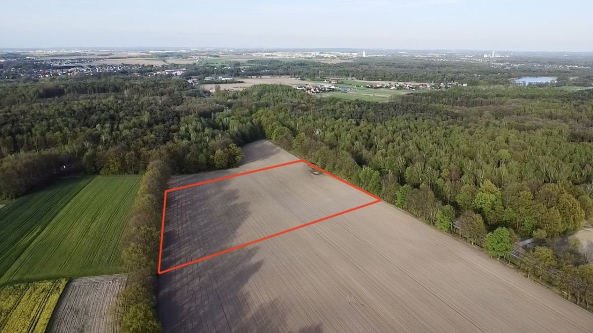 Działka budowlana na sprzedaż Wilcza, Rybnicka  20 900m2 Foto 3