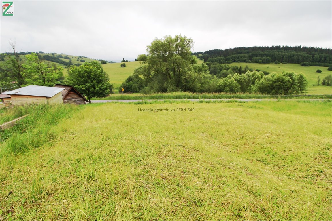 Działka budowlana na sprzedaż CHOCHOŁÓW  1 800m2 Foto 4