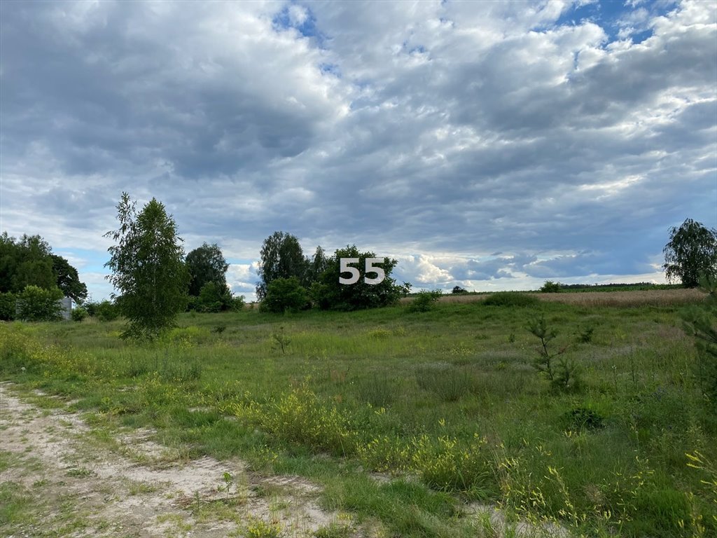 Działka budowlana na sprzedaż Lutomiersk  2 000m2 Foto 3