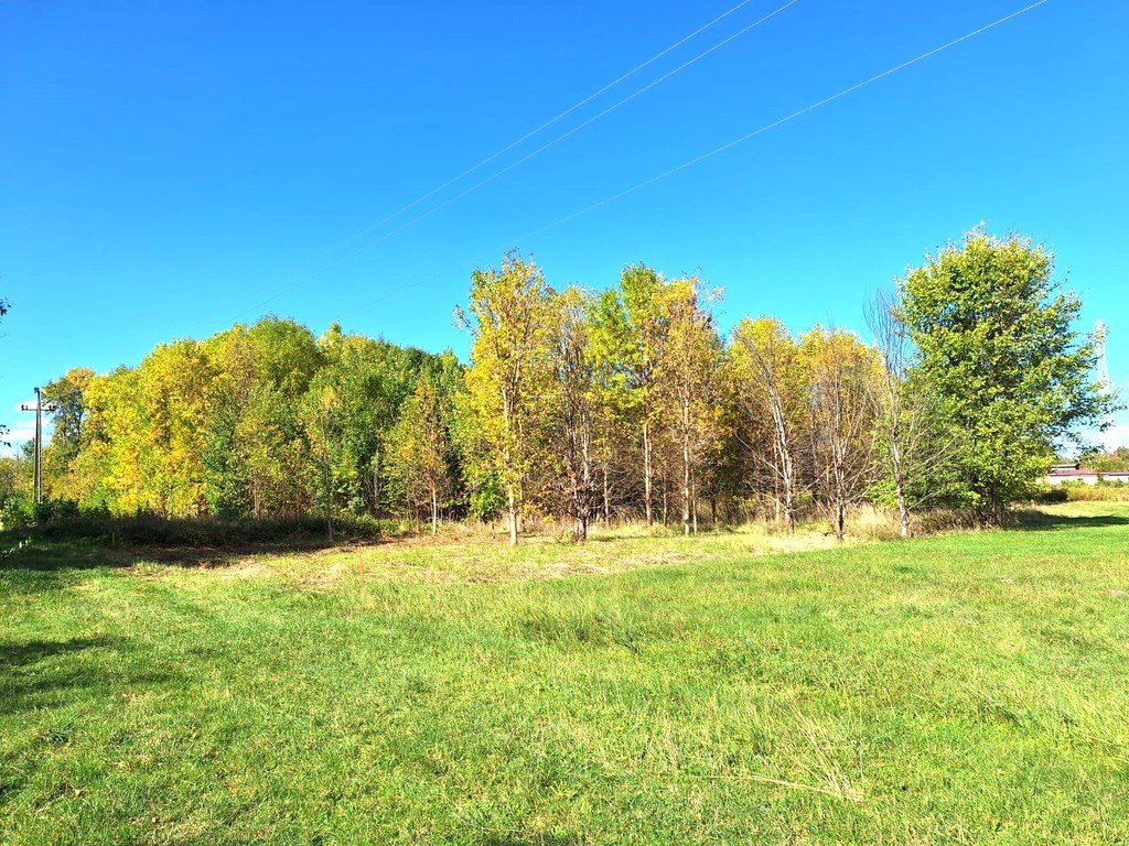 Działka budowlana na sprzedaż Firlej, Działkowa  1 501m2 Foto 2