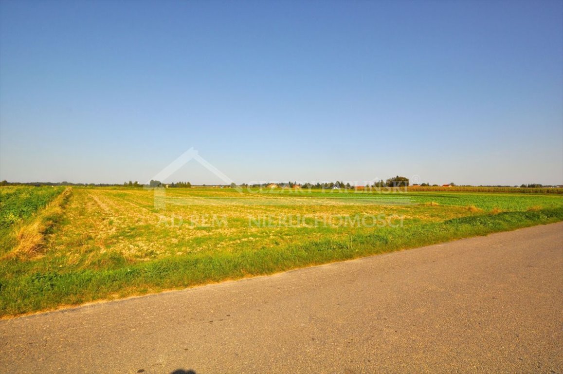 Działka budowlana na sprzedaż Radawiec Mały, Radawiec Mały  2 800m2 Foto 14