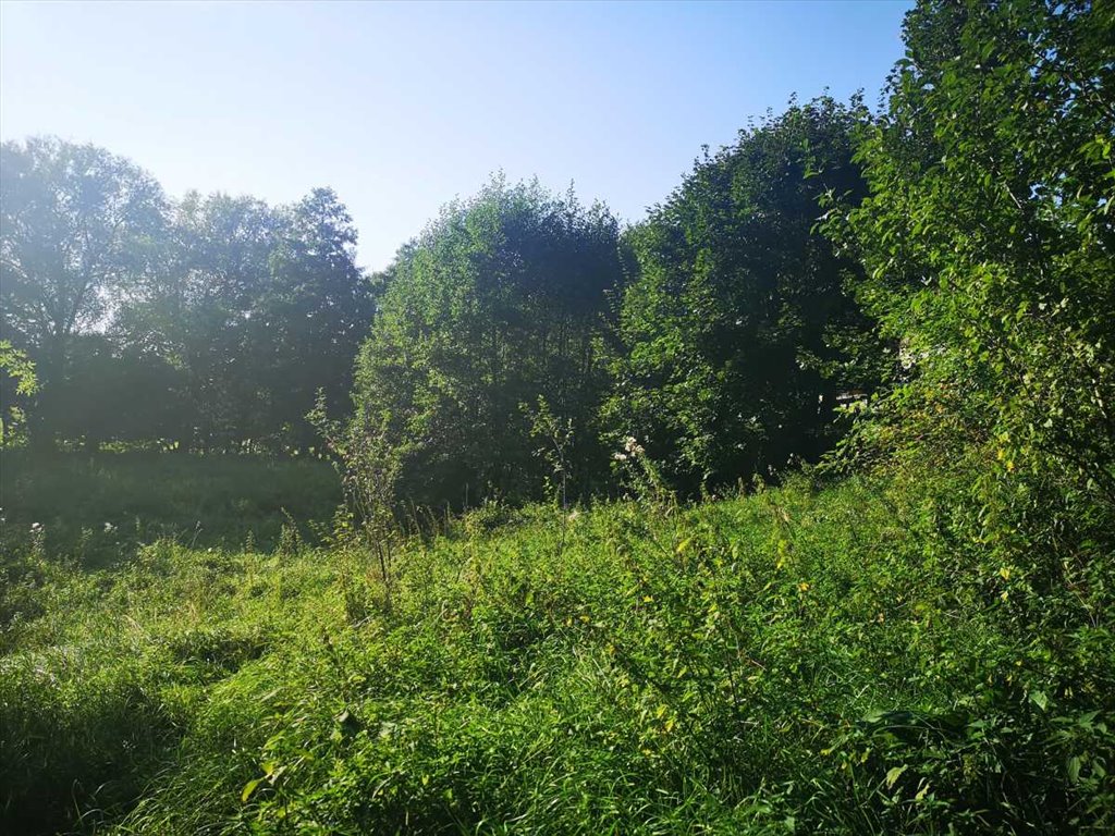 Działka inna na sprzedaż Bystrzyca Kłodzka, Idzików  4 600m2 Foto 4