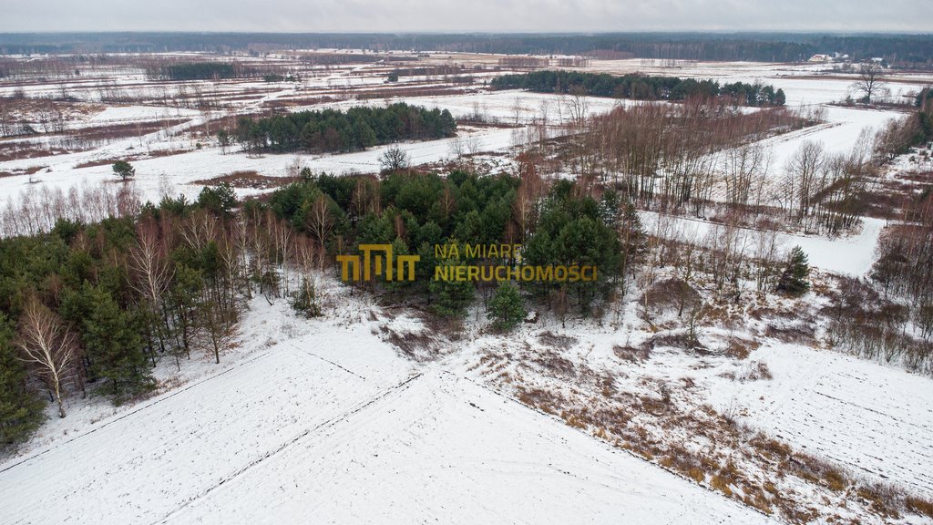 Działka leśna na sprzedaż Jadachy  5 100m2 Foto 1