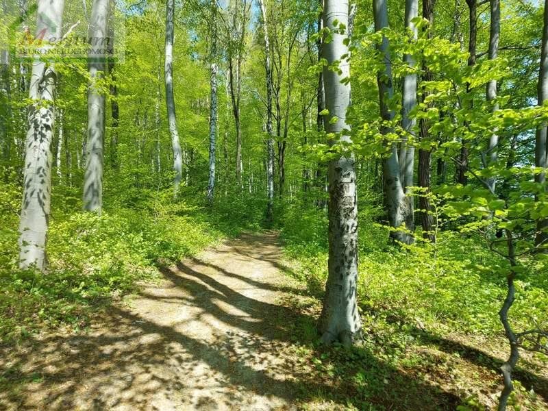 Działka rolna na sprzedaż Glinik Polski  2 800m2 Foto 5