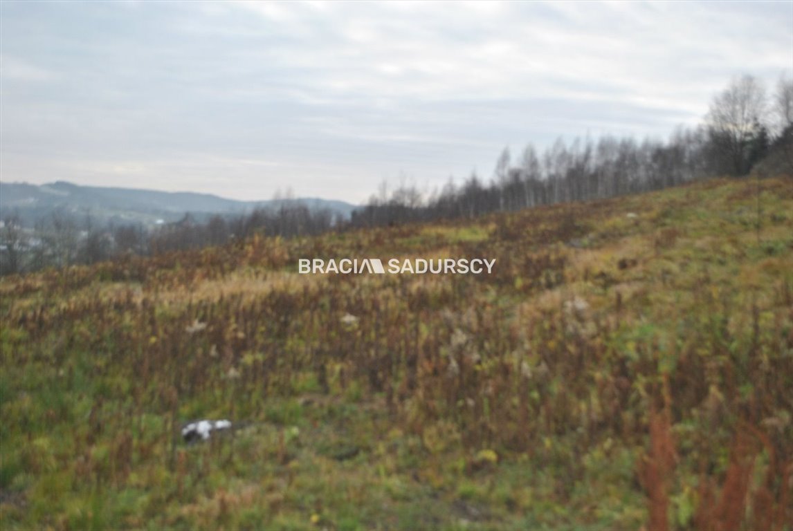 Widokowa działka 2,5 ha z mediami i lasem Głogoczów  22 100m2 Foto 1