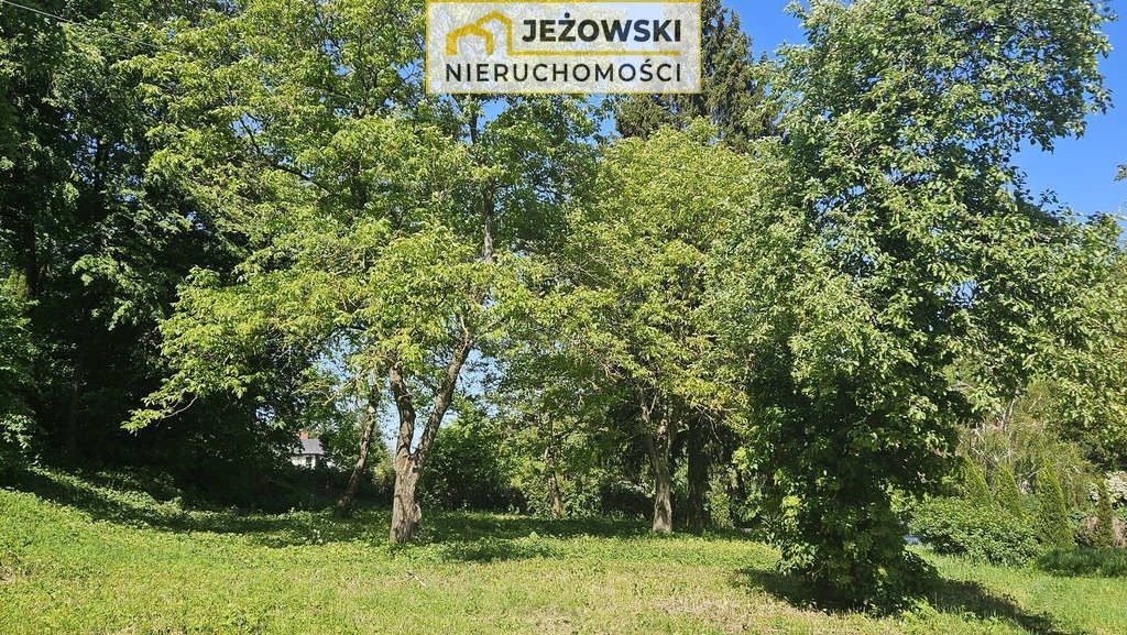 Działka inna na sprzedaż Kazimierz Dolny  3 175m2 Foto 4