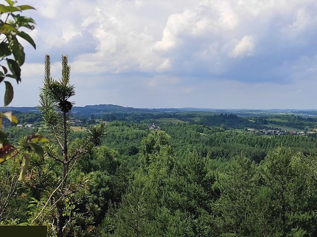 Działka budowlana na sprzedaż Ryczów  801m2 Foto 11