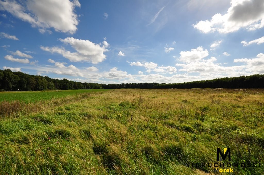 Polecam działkę 3097 m² w otoczeniu lasów i pól Smolne  3 097m2 Foto 1