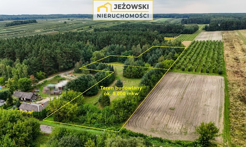 Działka budowlana na sprzedaż Mazanów  11 027m2 Foto 1