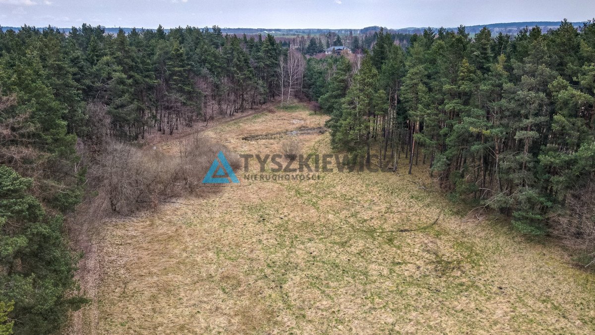 Działka budowlana na sprzedaż Gołębiewo Wielkie, Maciejki  7 500m2 Foto 9