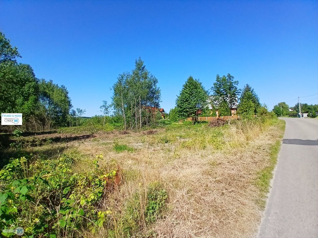 Sprzedam działkę 9 100 m² w Ociesękach, z możliwością zabudowy Raków, Ociesęki  9 100m2 Foto 1