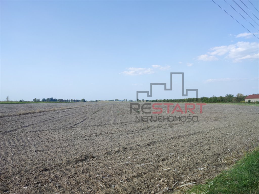 Działka rolna na sprzedaż Żuków  24 500m2 Foto 3