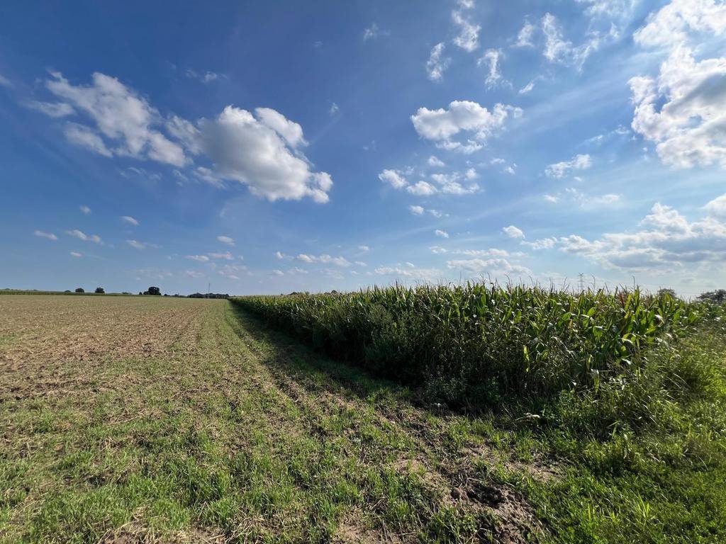 Działka inna na sprzedaż Karczów  21 000m2 Foto 2