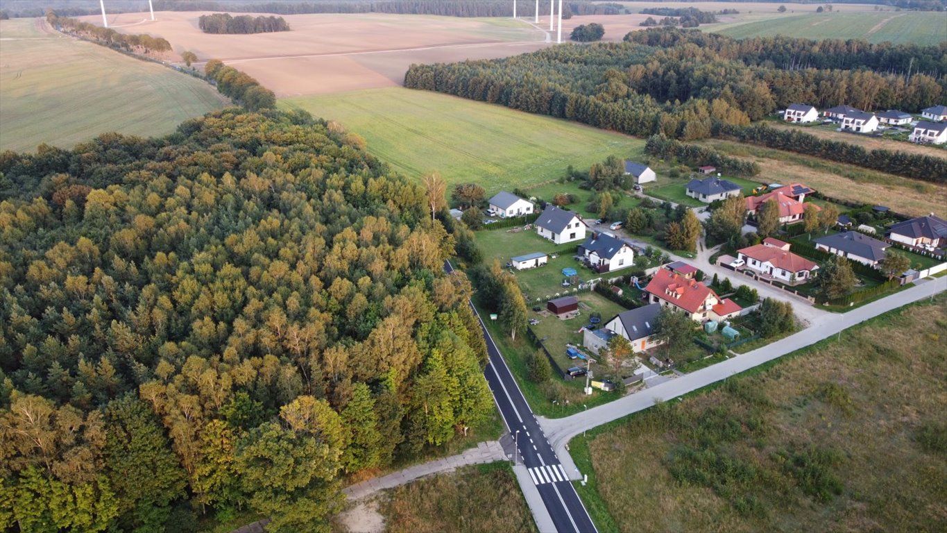 Działka leśna z prawem budowy na sprzedaż Głobino, Przy Lesie  6 200m2 Foto 1