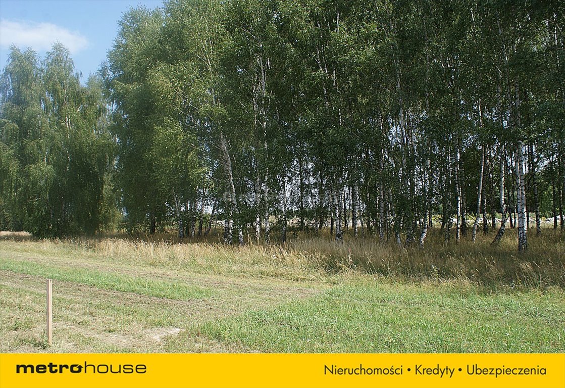 Działka rolna na sprzedaż Jakubów, Dobra  15 000m2 Foto 7