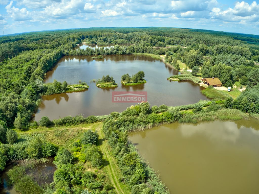 Działka budowlana na sprzedaż Bosowice  28 200m2 Foto 6