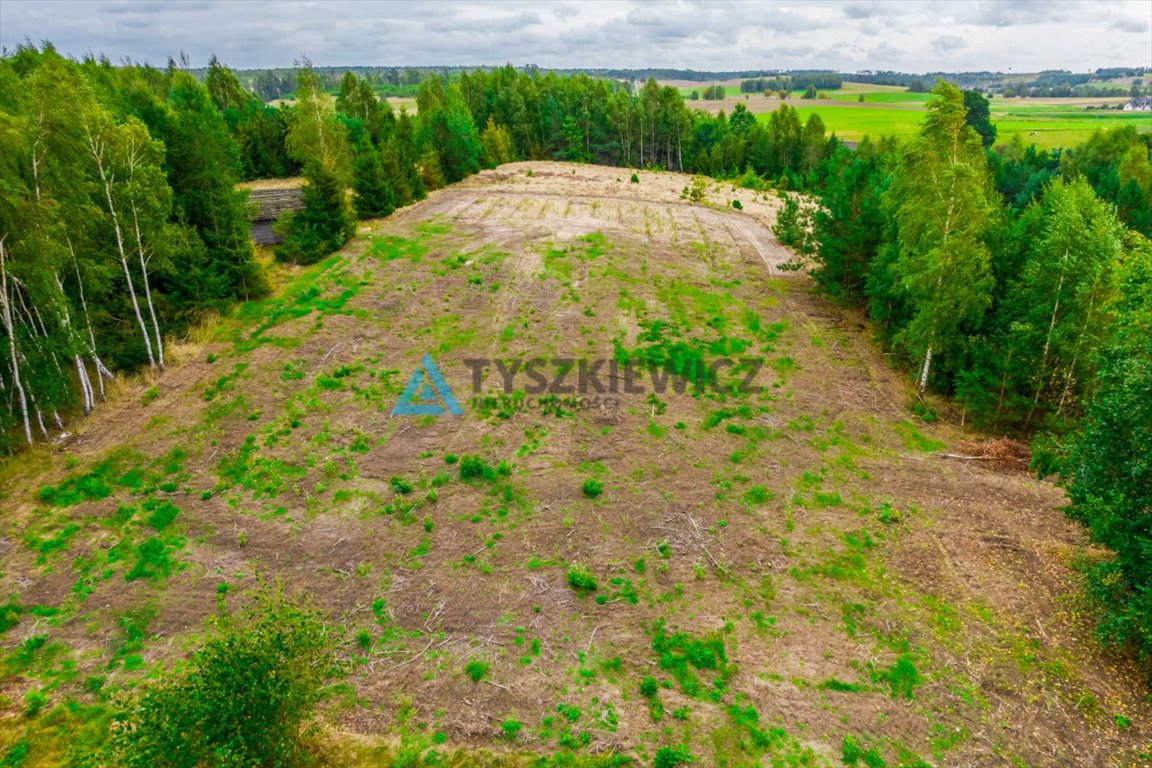 Działka budowlana na sprzedaż Trzebuń  1 800m2 Foto 11