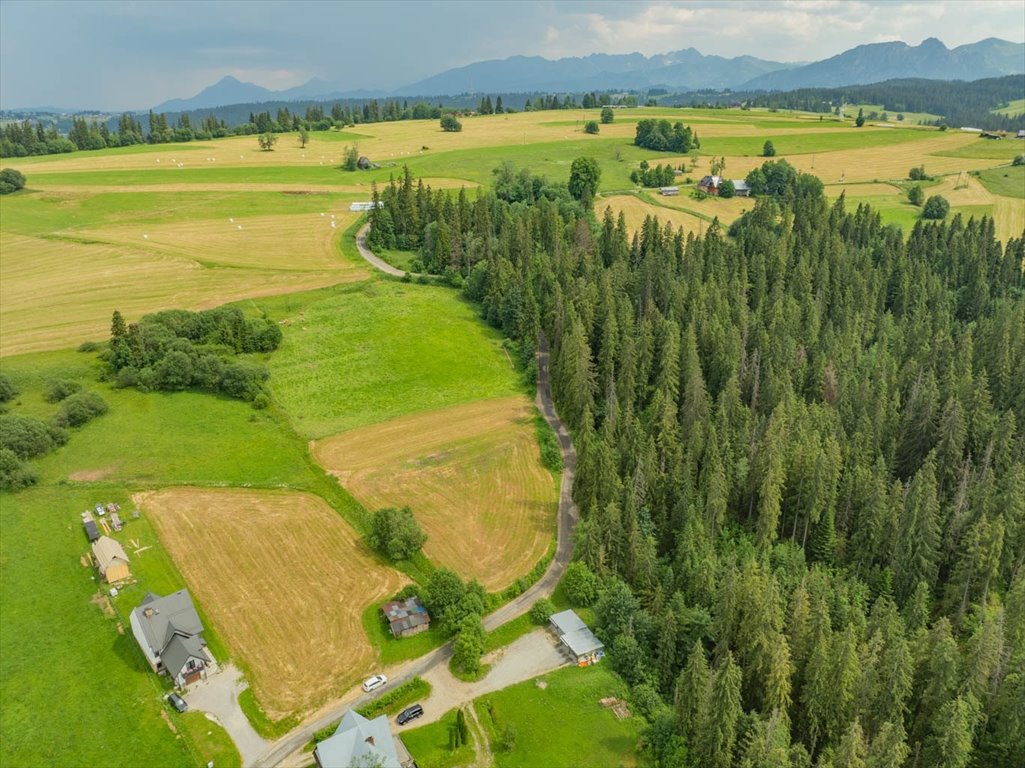 Działka 1942 m² z mediami i dostępem do asfaltu polecam Ciche, 653A  1 942m2 Foto 1