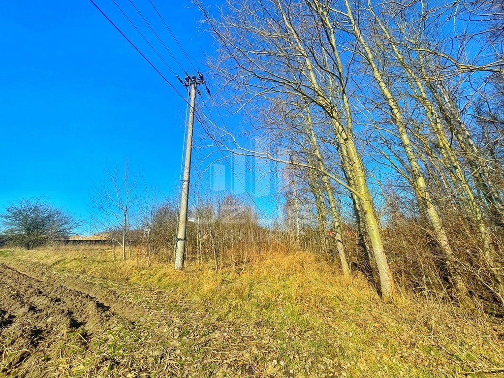 Działka budowlana na sprzedaż Okole, Brzozowa  3 022m2 Foto 11