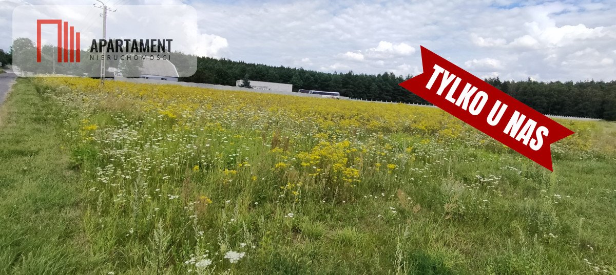 Działka gospodarstwo rolne na sprzedaż Wałdowo Królewskie, Zacisze  3 637m2 Foto 2