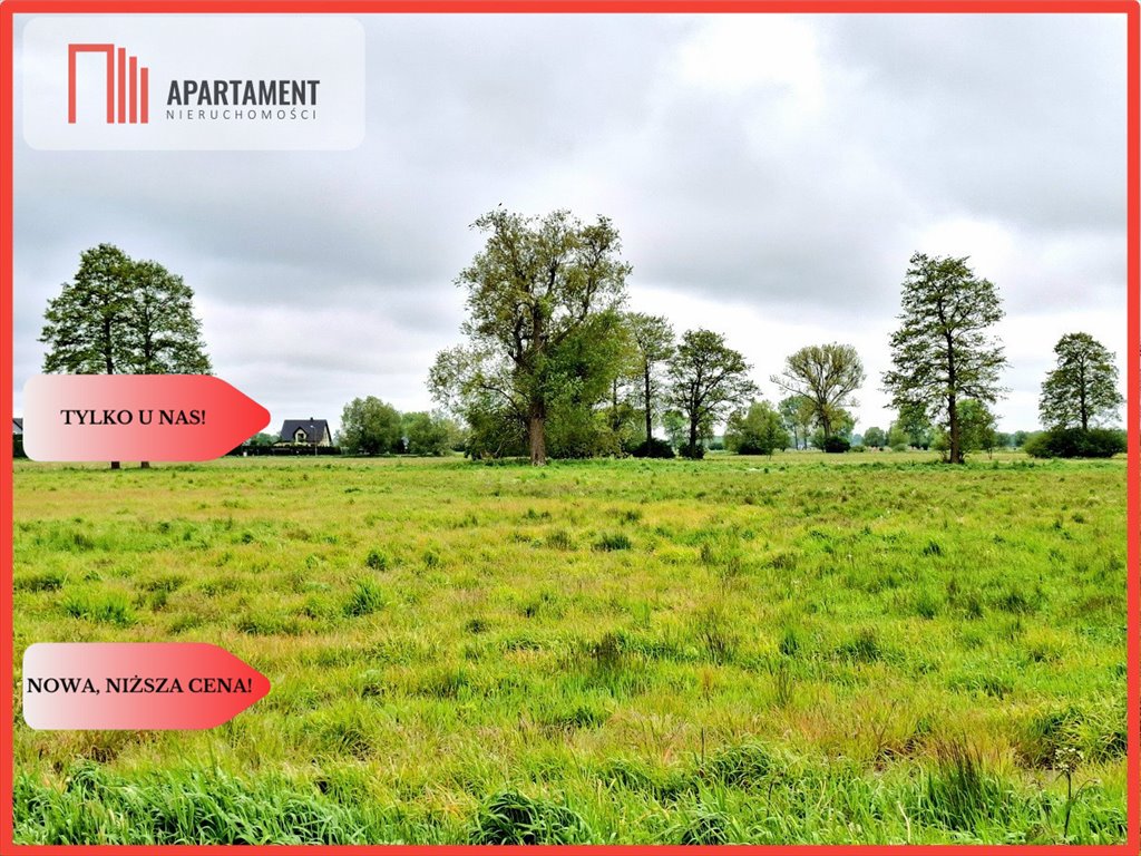 Na sprzedaż działka pod zabudowę 730 m² w Dziemionnie Dziemionna  730m2 Foto 1