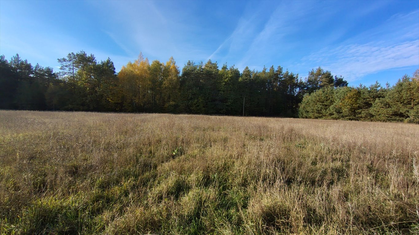 Działka inna na sprzedaż Nowa Wieś, Nowa Wieś  1 380m2 Foto 9