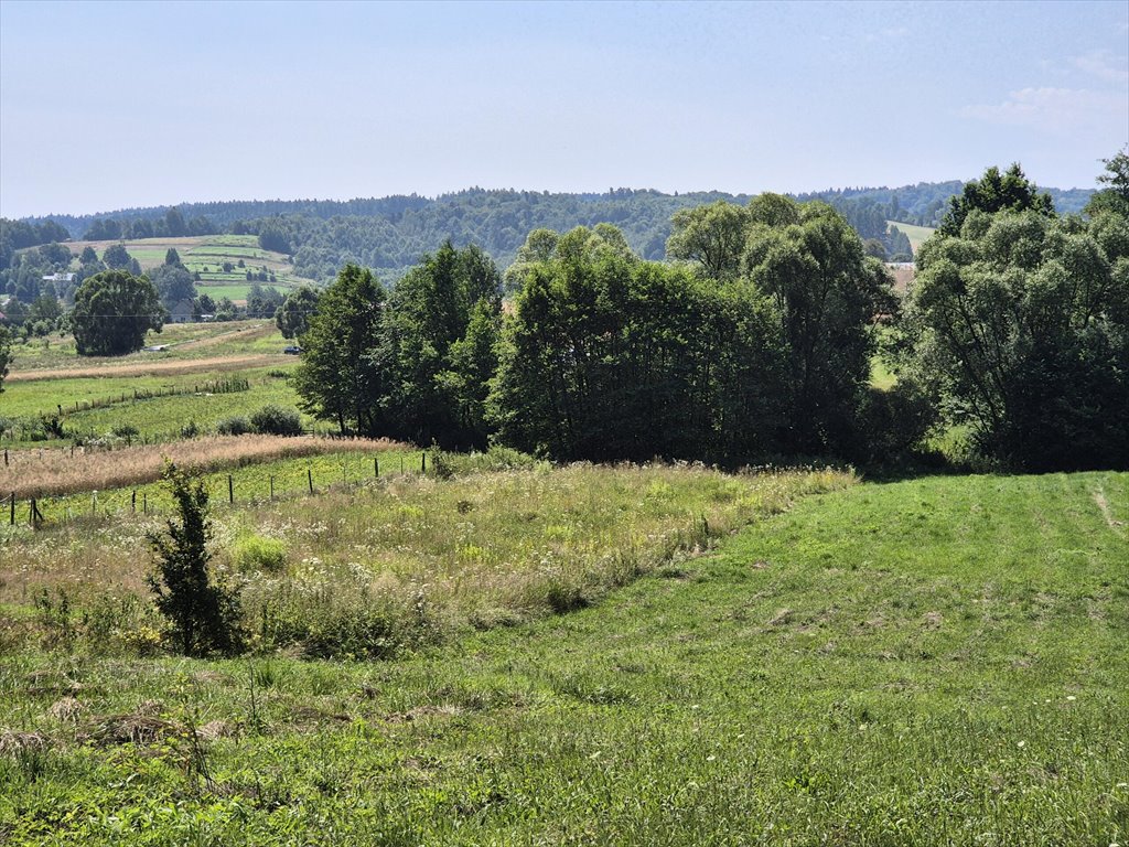 Działka rolna na sprzedaż Golcowa  8 051m2 Foto 15