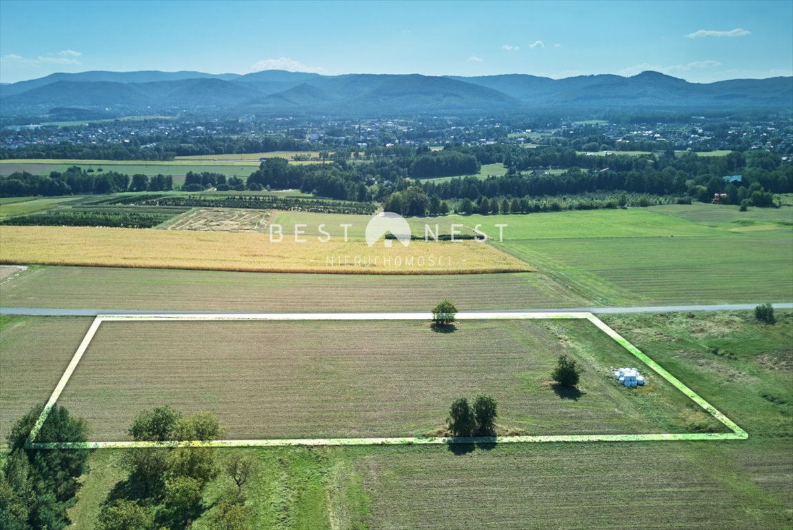 Działka budowlana na sprzedaż Jasienica  10 340m2 Foto 2