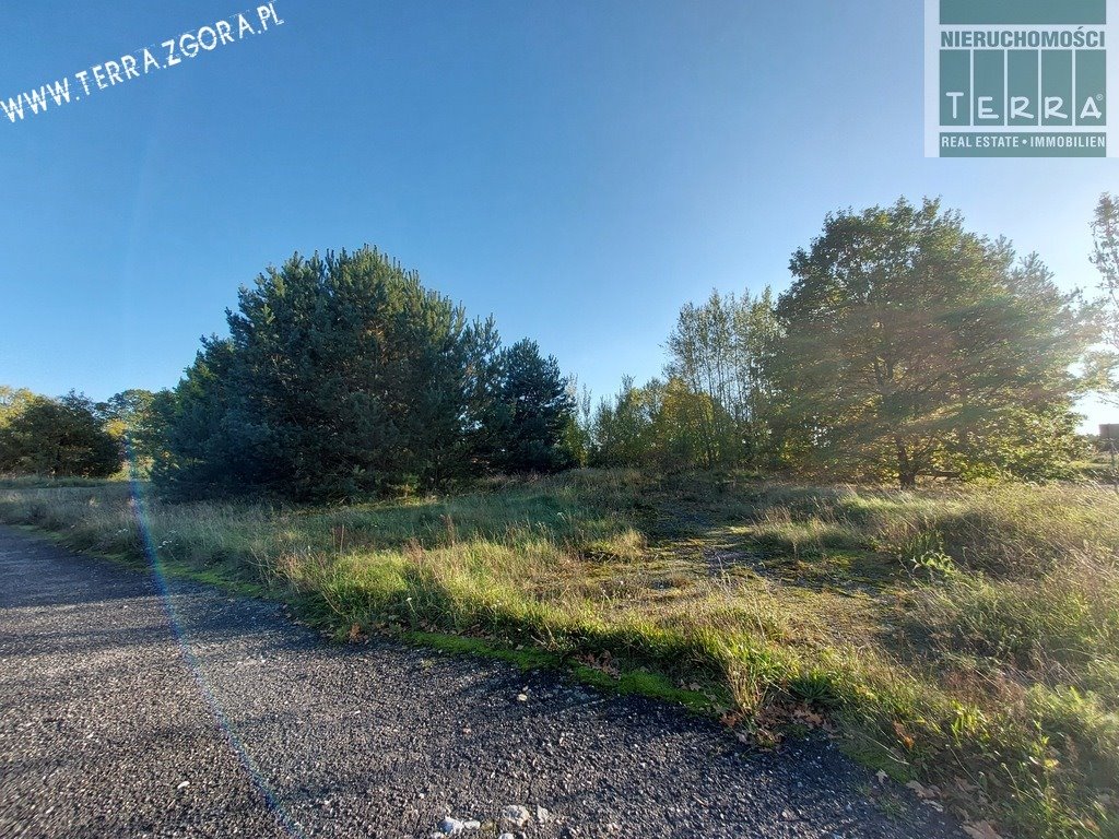 Działka budowlana na sprzedaż Grabowiec  4 053m2 Foto 1