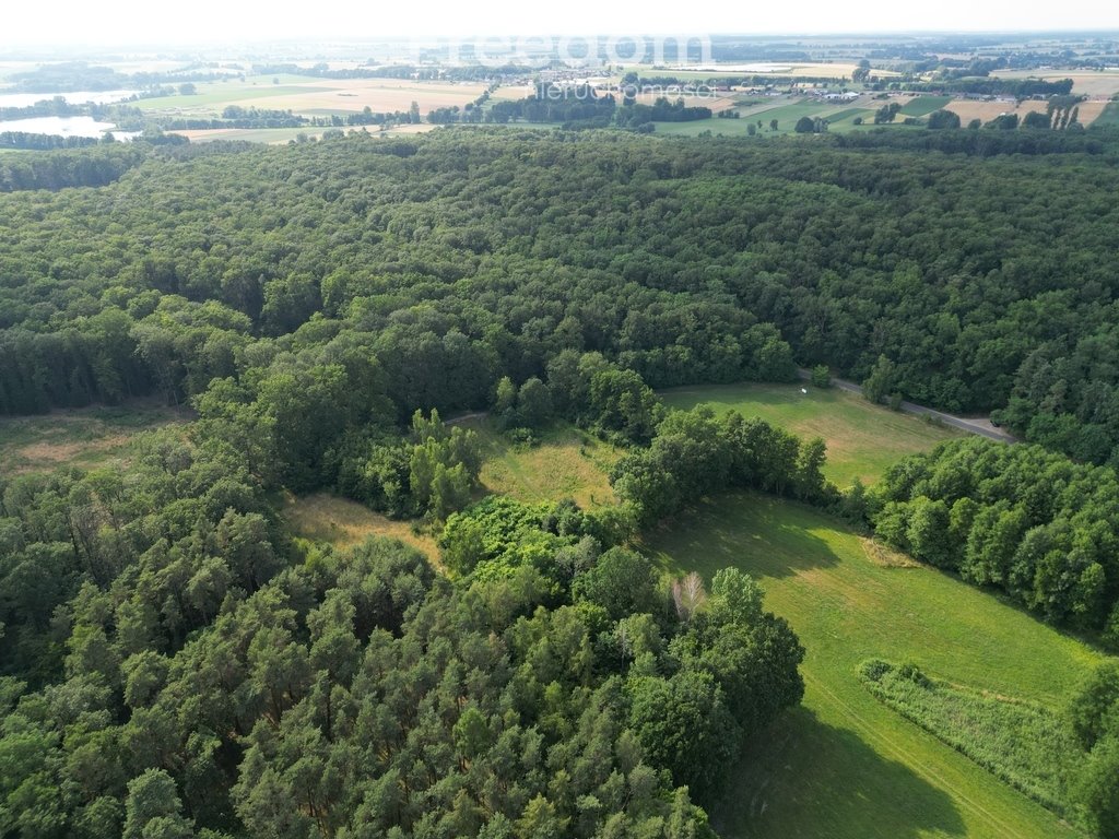 Działka inna na sprzedaż Dolsk  15 000m2 Foto 3