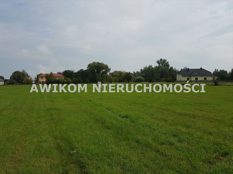 Zdjęcie 3