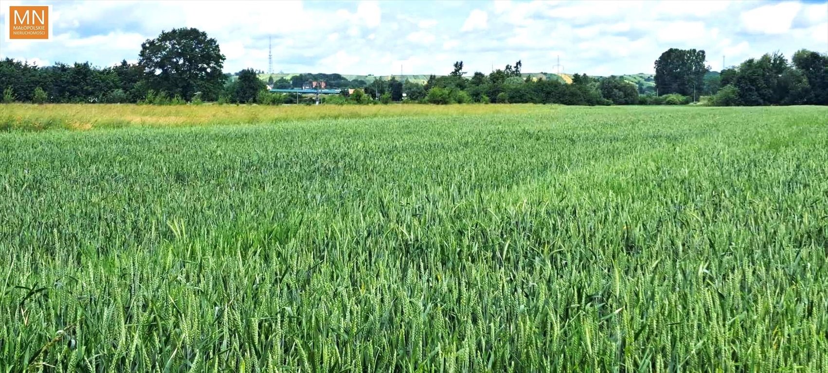 Działka budowlana na sprzedaż Ispina  8 500m2 Foto 10