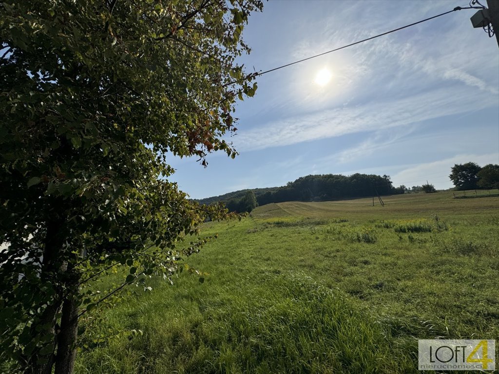 Działka inna na sprzedaż Dąbrówka Szczepanowska  5 600m2 Foto 3