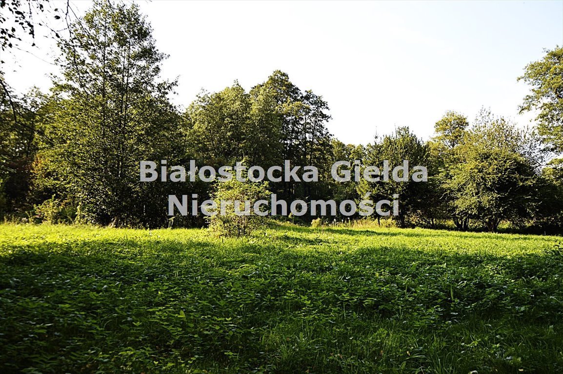 Działka budowlana na sprzedaż Klewinowo  3 595m2 Foto 1